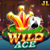Wild Ace on playtime apps